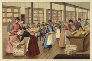 Emballage de chocolats dans une usine - European School